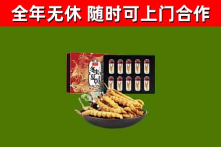 滨江区烟酒回收冬虫夏草礼盒.jpg